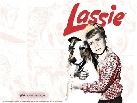 lassie tv show wallpapers wallpaper cave