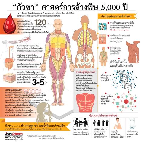 กัวซา ศาสตร์การล้างพิษ 5 000 ปี