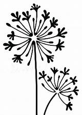 Stencil Silhouette Dandelion Stencils Plotter Schablone Dandelions Agapanthus Blüten Blumen sketch template