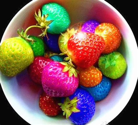rainbow colored magical strawberries seeds usa garden center
