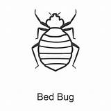 Bedbug Stroke Bug sketch template