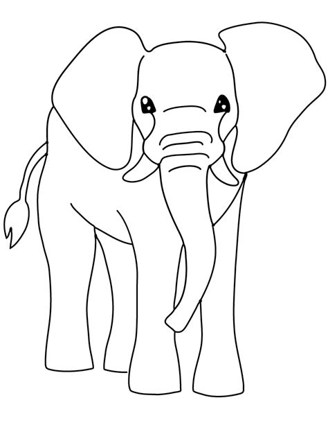 elephant coloring pages kidsuki