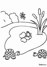 Pond Coloring Pages Drawing Lake Life Clipart Printable Habitat Forest Cartoon Template Books Library Collection Paintingvalley Popular 59kb 1024px sketch template