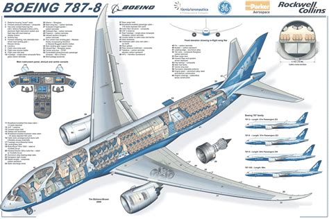 boeing   dreamliner cutaway drawing aeronefnet