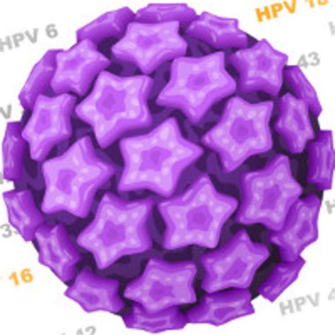 higher new anal hpv infection and duration in gay men with