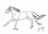 Horses Racehorse Thoroughbred Lineart Barrel sketch template