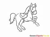 Pferdezeichnungen Hest Tegninger Clipartsfree Pferde Utklipp Fargelegging Farvelægning Bildtitel Cavalli Hestetegninger sketch template