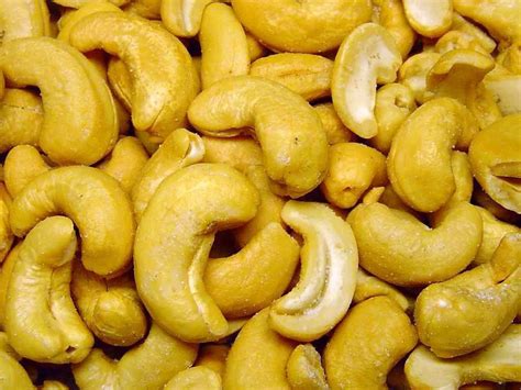 cashew industry cries foul  customs levies indus business journal