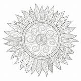 Vector Mandala Sunflower Adults Coloring Flower Illustration sketch template