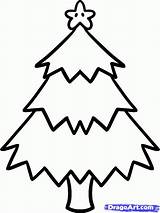 Cartoon Tree Trees Christmas Kids Library Clipart Drawings sketch template