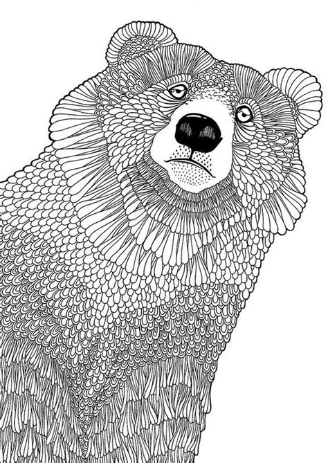 pin  coloring bear
