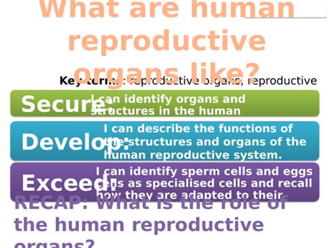 7bb human reproduction exploring science teaching