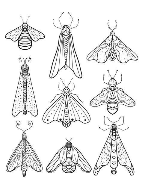 printable insect animal adult coloring pages page