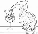 Cocktail Neushoornvogel Kleurboek Hornbill sketch template