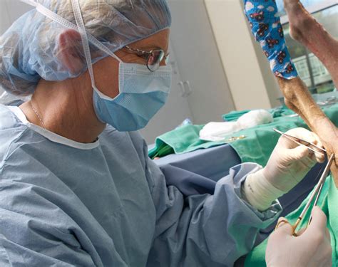 veterinary surgical specialists veterinary surgical