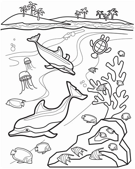 animal coloring pages  st grade christopher myersas coloring pages