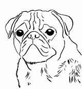 Pug Coloring Pages Print Template sketch template