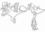 Perry Ferb Platypus sketch template