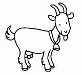 Goat Coloring Dibujo Coloringcrew Cabra Para Colorear sketch template