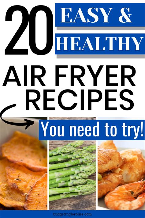 easy  healthy air fryer recipes budgeting  bliss air fryer
