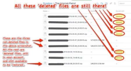 dropbox deleted files revealed  internet patrol
