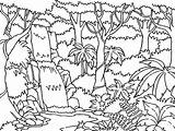 Forest Coloring Pages Printable Enchanted Getcolorings sketch template