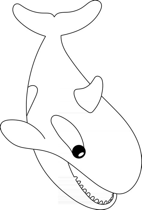 killer whale kids coloring page great  beginner coloring book