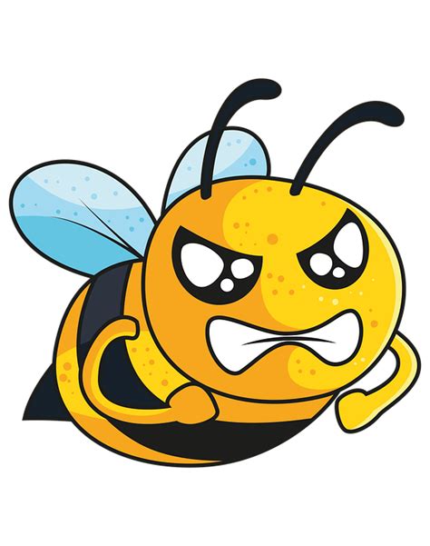 bee angry honeybee  image  pixabay