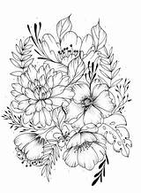 Flower Coloring Drawing Colouring Floral Drawings Pages Adult Sketches Instagram Illustrations Books sketch template