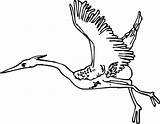 Crane Coloring Bird Paddy Field Pages Begin Fly 57kb 466px Netart sketch template