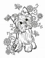 Yorkie Terrier Colouring sketch template