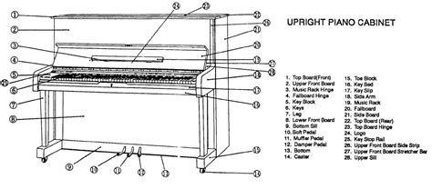 baby grand piano parts diagram piano parts piano diagram