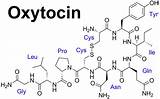 Oxytocin Hormone Contents Function Effects Healthjade sketch template