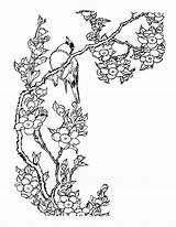 Blossom Cherry Coloring Tree Pages Color Getcolorings Printable Getdrawings sketch template