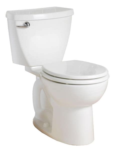 traditional  toilet   visible trapway