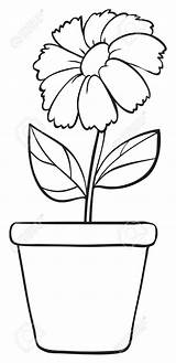 Pot Flower Drawing Plant Clipart Flowers Line Drawings Illustration Simple Vase Coloring Pages Draw Template Easy Stock Kid Sketch Outline sketch template