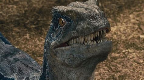 Jurassic World 3 Nuevas Imágenes Desde Set Revelan A Otro Dinosaurio
