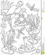 Swamp Coloring Drawings 1068 1300px 15kb sketch template