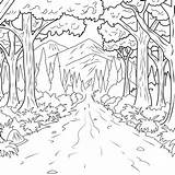 Forest Enchanted Drawing Deer Coloring Pages Book Printable Adult Getdrawings Rainforest sketch template