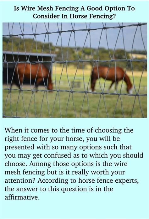 Ppt Is Wire Mesh Fencing A Good Option To Consider In