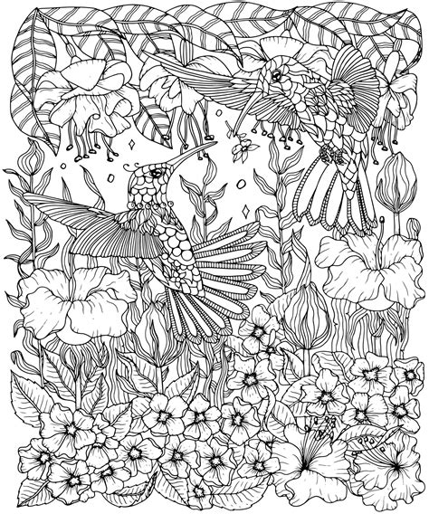 hummingbirds  flowers coloring page color  beautiful
