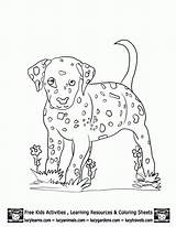 Dalmatian Dalmation Malvorlagen Treat Coloringhome Adoption sketch template