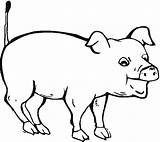 Porco Porc Pig Babi Varken Schwein Malvorlagen Coloriages Boca Aberta Mewarnai Kleurplaat Schweine Kleurplaten Fat Maiali Bergerak Malvorlage Ausmalbild Gifs sketch template