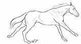 Thoroughbred Line Racing Deviantart Horse Coloring Drawing Lineart Pages Drawings Realistic Colouring Sketch Read Tack Psd Husky Animal sketch template