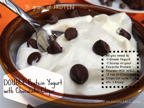double protein yogurt  chocolate chips