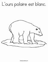 Polar Worksheet Bear Coloring Polaire Est Blanc Ours Pp Cursive Favorites Login Add Lours Twistynoodle Noodle sketch template