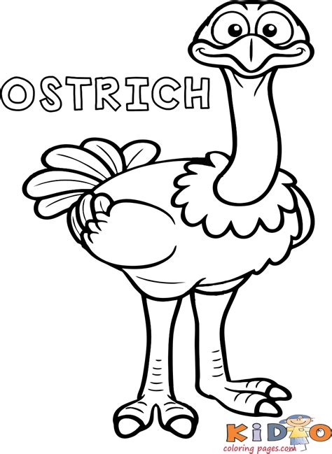 ostrich bird coloring book pages  kindergarten kids coloring pages