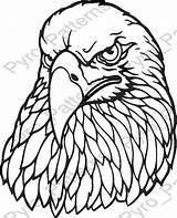 Burning Wood Pyrography Eagle Bird Head Printable Pattern sketch template