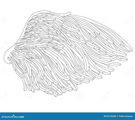wing page coloring  adults stock vector illustration  adult
