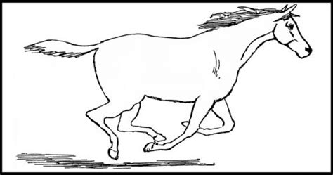 horse coloring pages karens whimsy